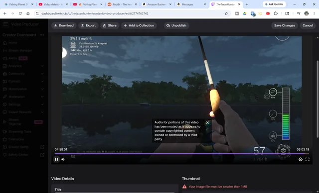 Livestream VOD containing a muted section caused by copyrighted audio while the rest of the replay remains available