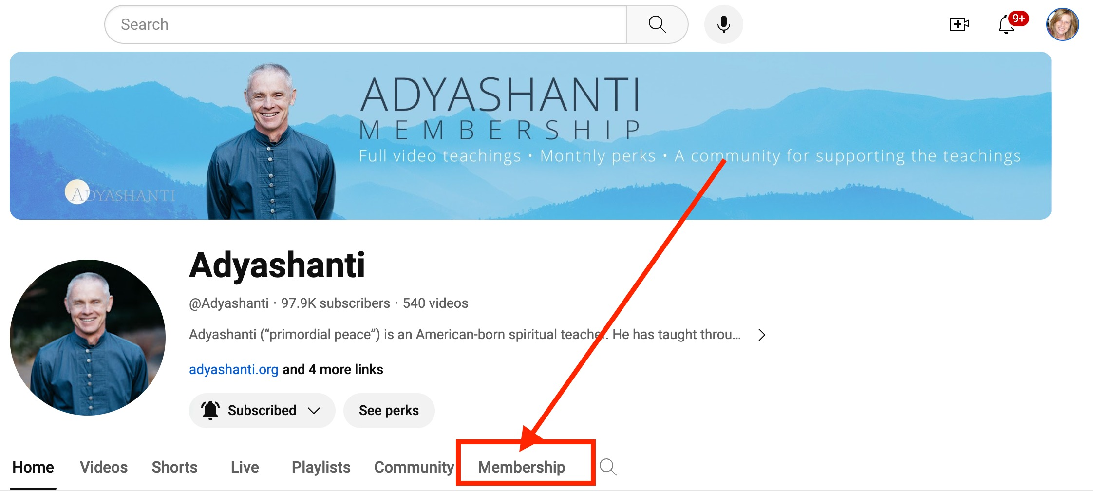 Members-only video archive showing different access according to the viewer's current membership level